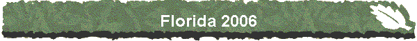 Florida 2006