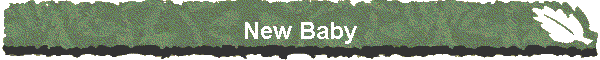 New Baby